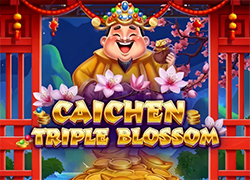 Caichen triple blossom